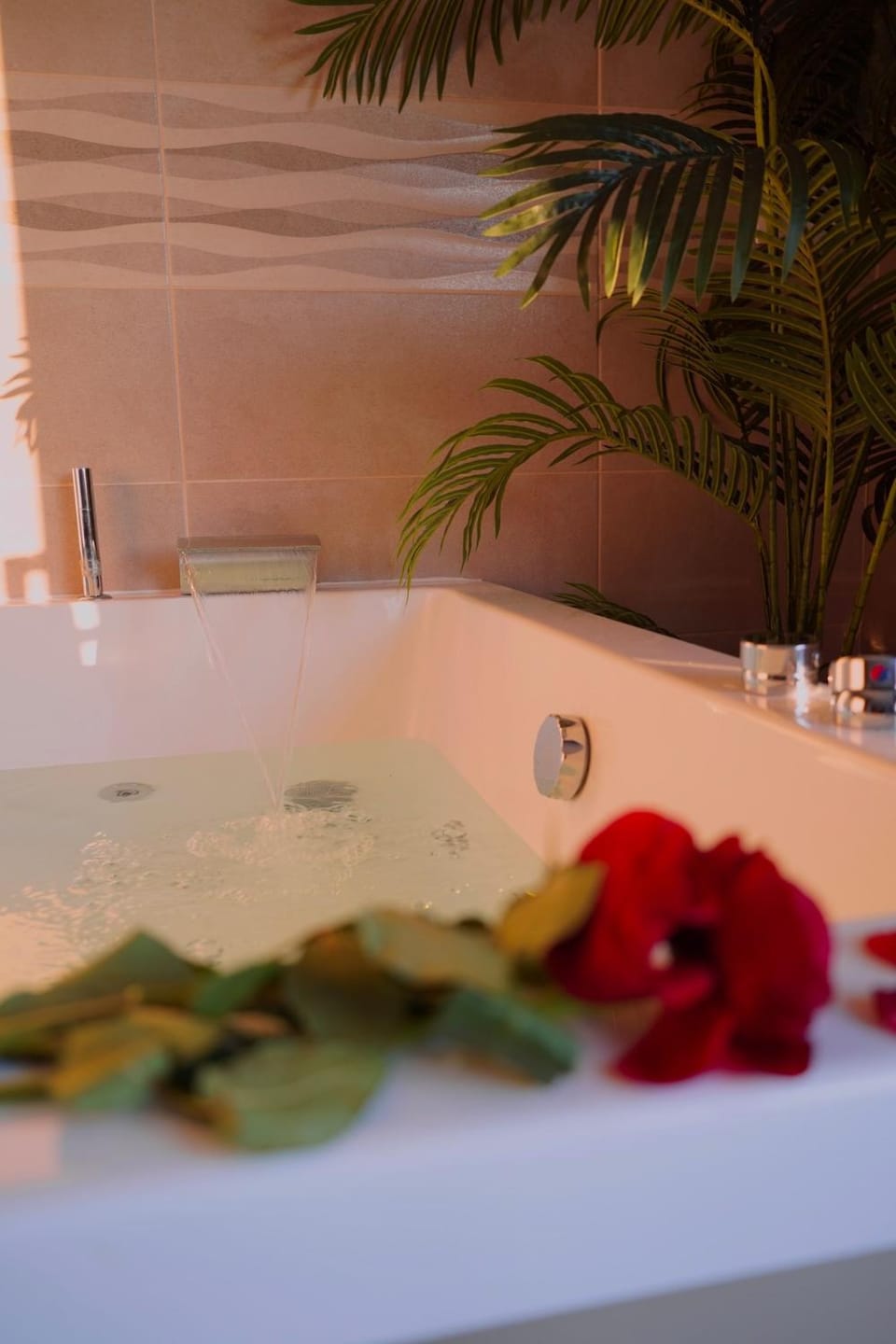 maison balneo ou love room jardin terrasse vue Apartment in Roquebrune-sur-Argens