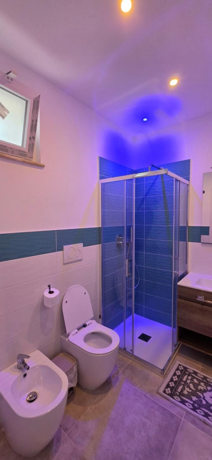 Shower, Toilet, Bathroom, bidet