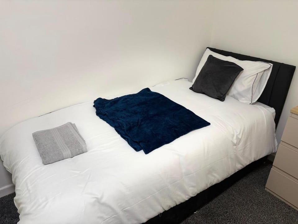 Beautiful 3-Bedroom Flat in the heart of Swansea Apartment in Swansea