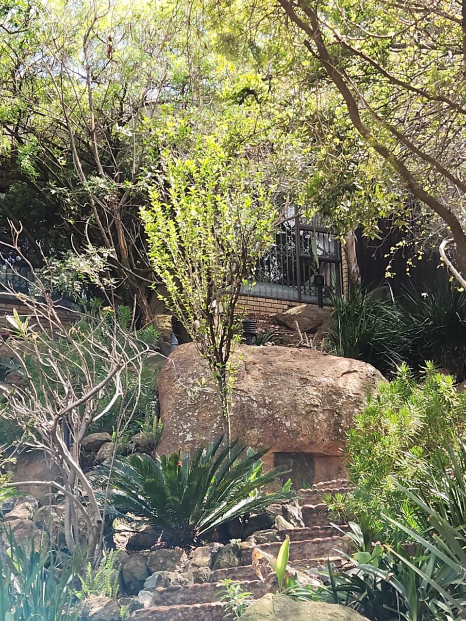 Tranquility in JHB South Apartment in Gauteng