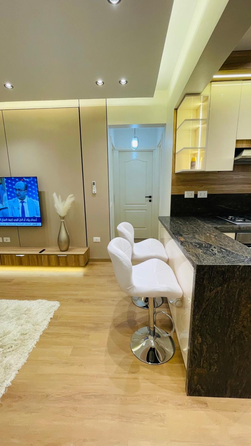 شقة فندقي Apartment in Egypt