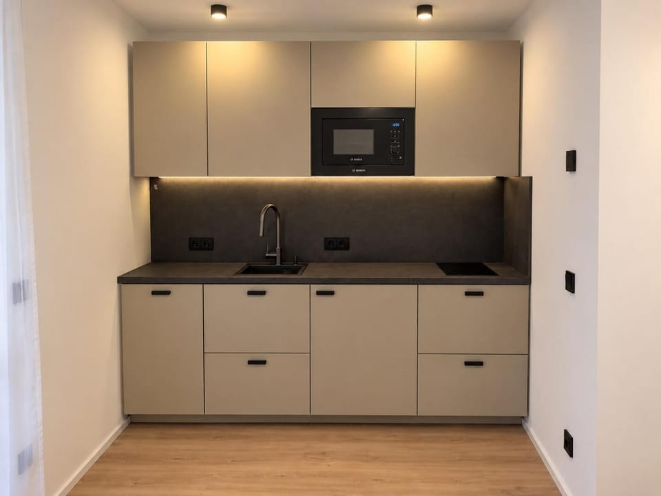 Kitchen or kitchenette, dishwasher, microwave