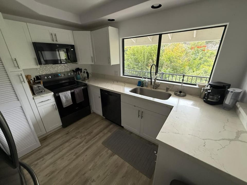 Kitchen or kitchenette, dishwasher, oven, stove, toaster
