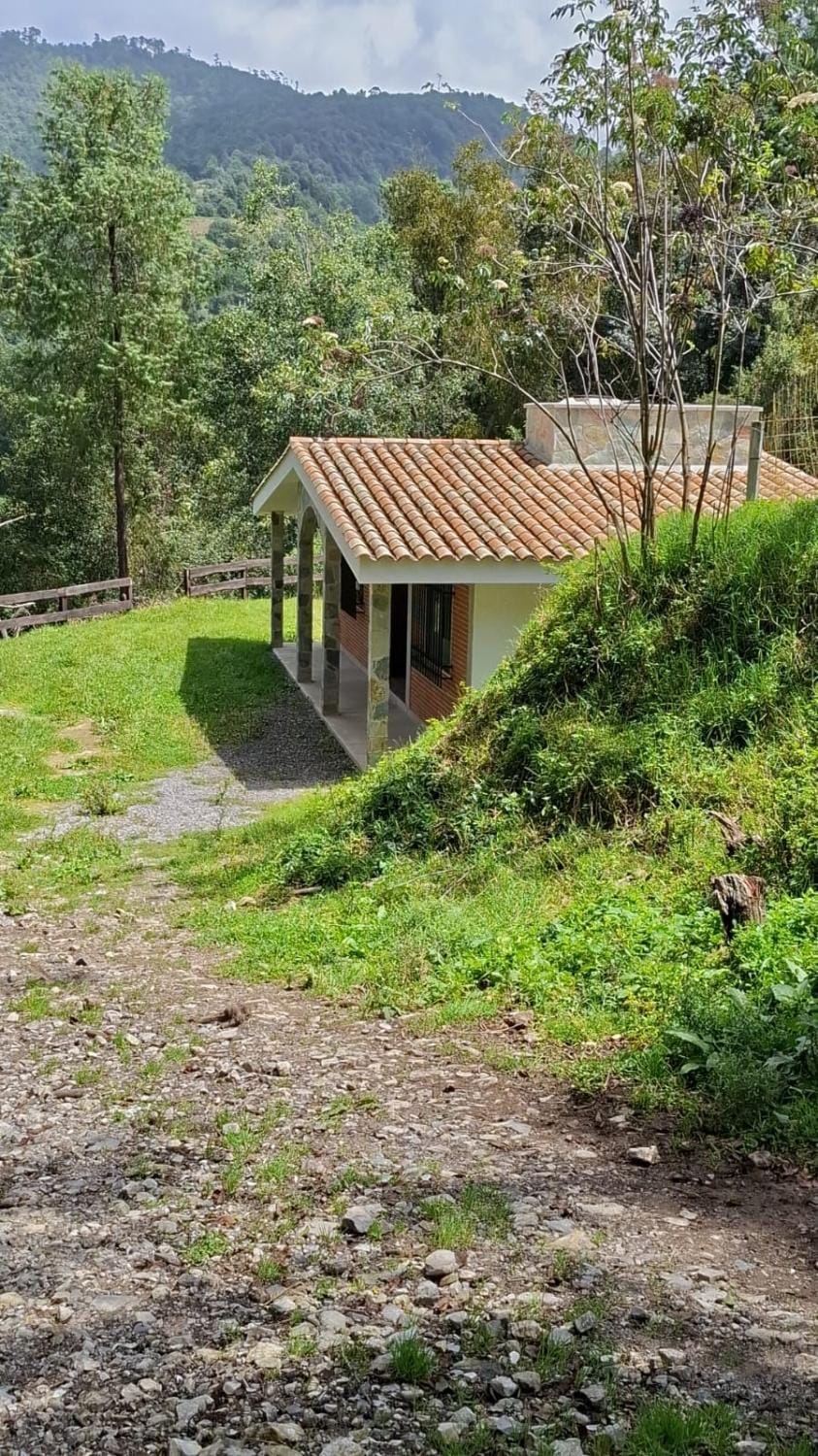 Property building, Natural landscape, Garden, Balcony/Terrace
