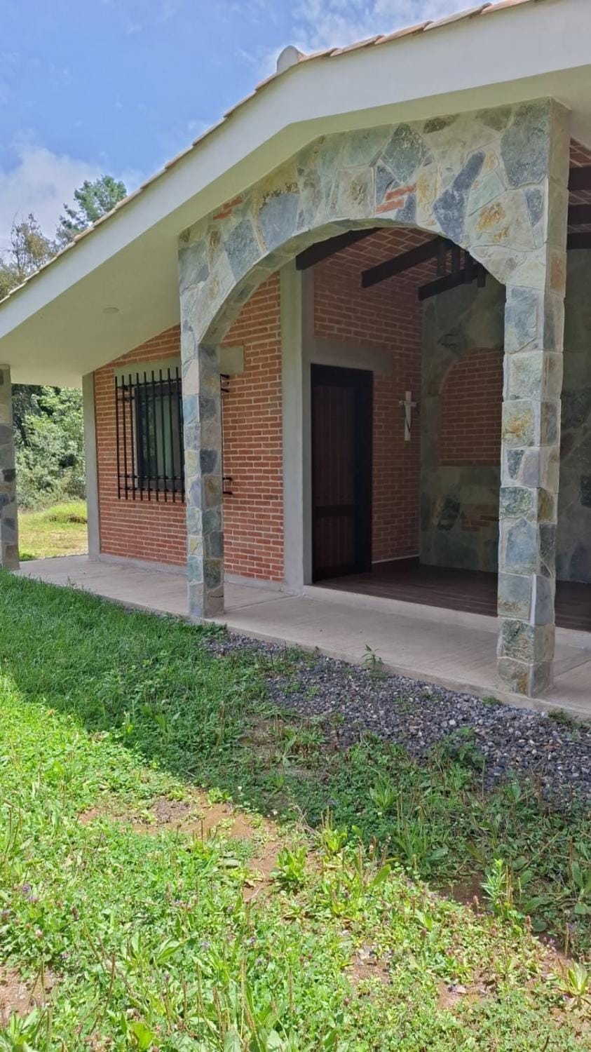 Property building, Day, Garden view