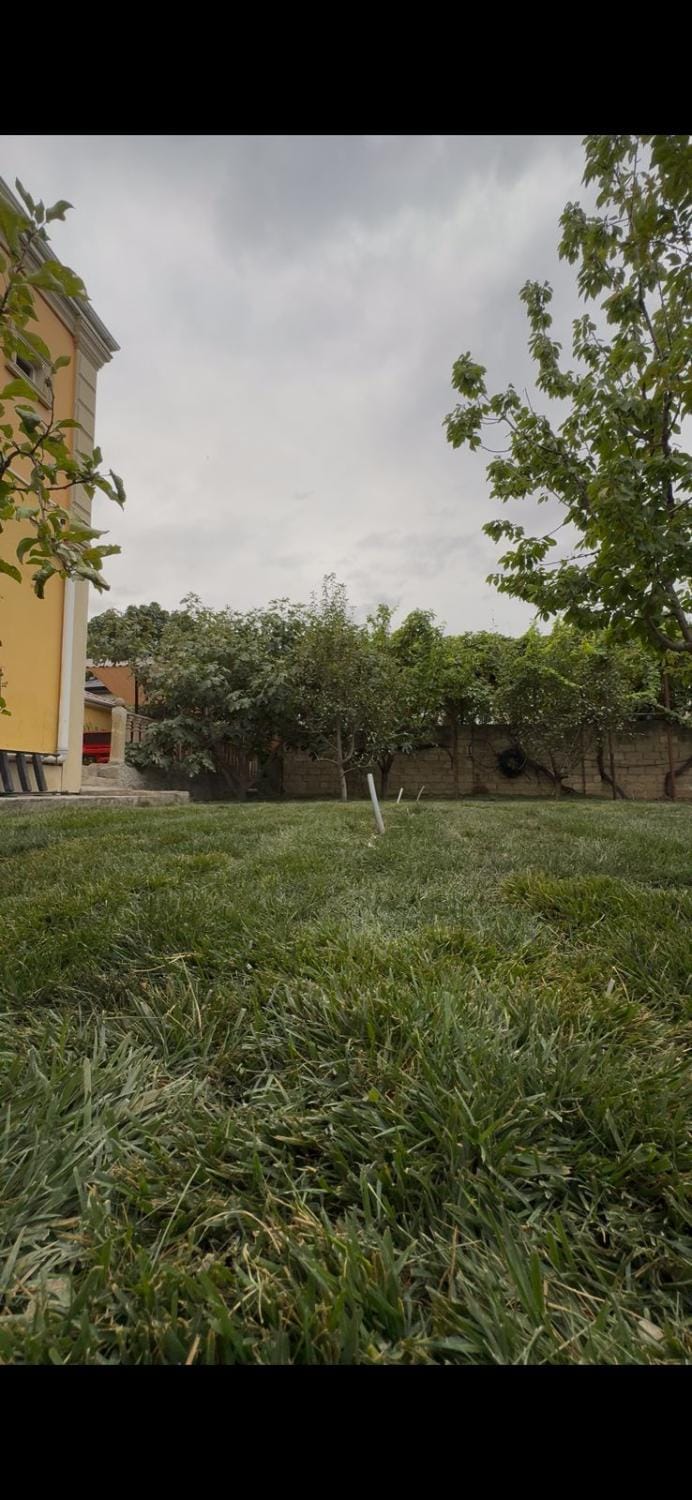 Damla Garden Apartment in Azerbaijan