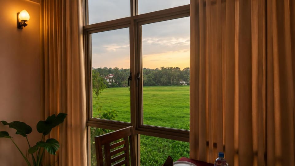 View (from property/room)