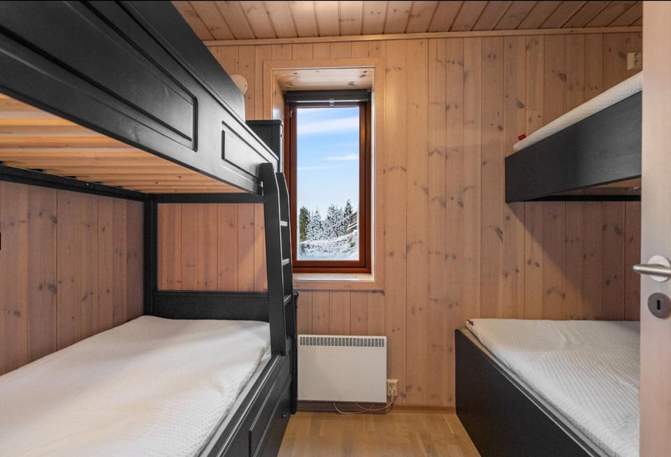Bed, Photo of the whole room, Bedroom, bunk bed