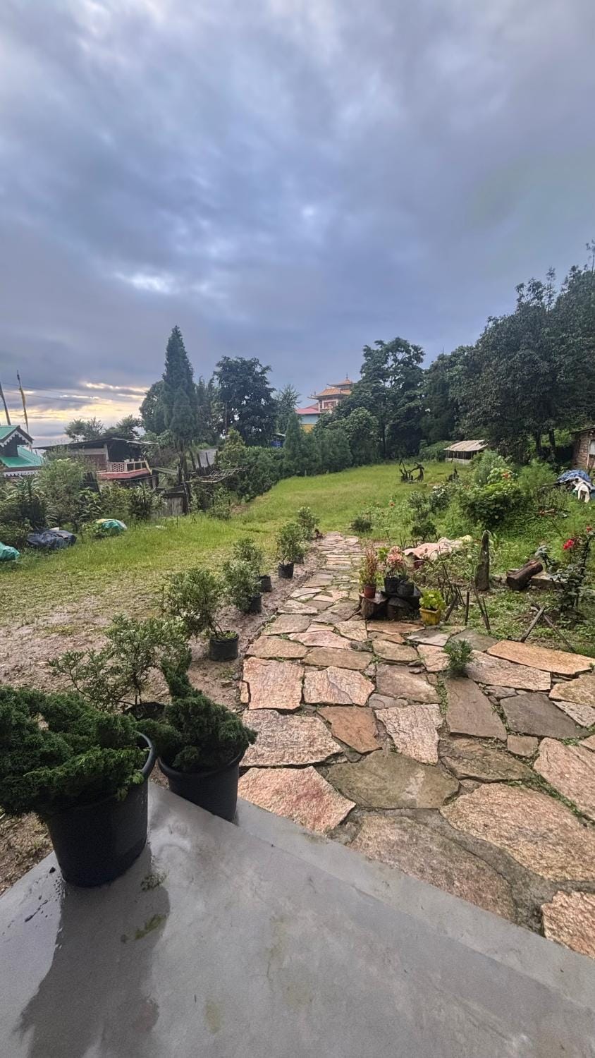 Garden view