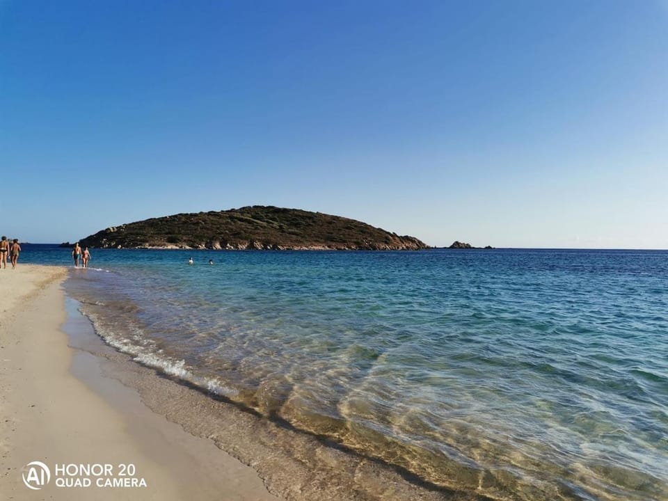 l'araucaria Vacation rental in La Maddalena