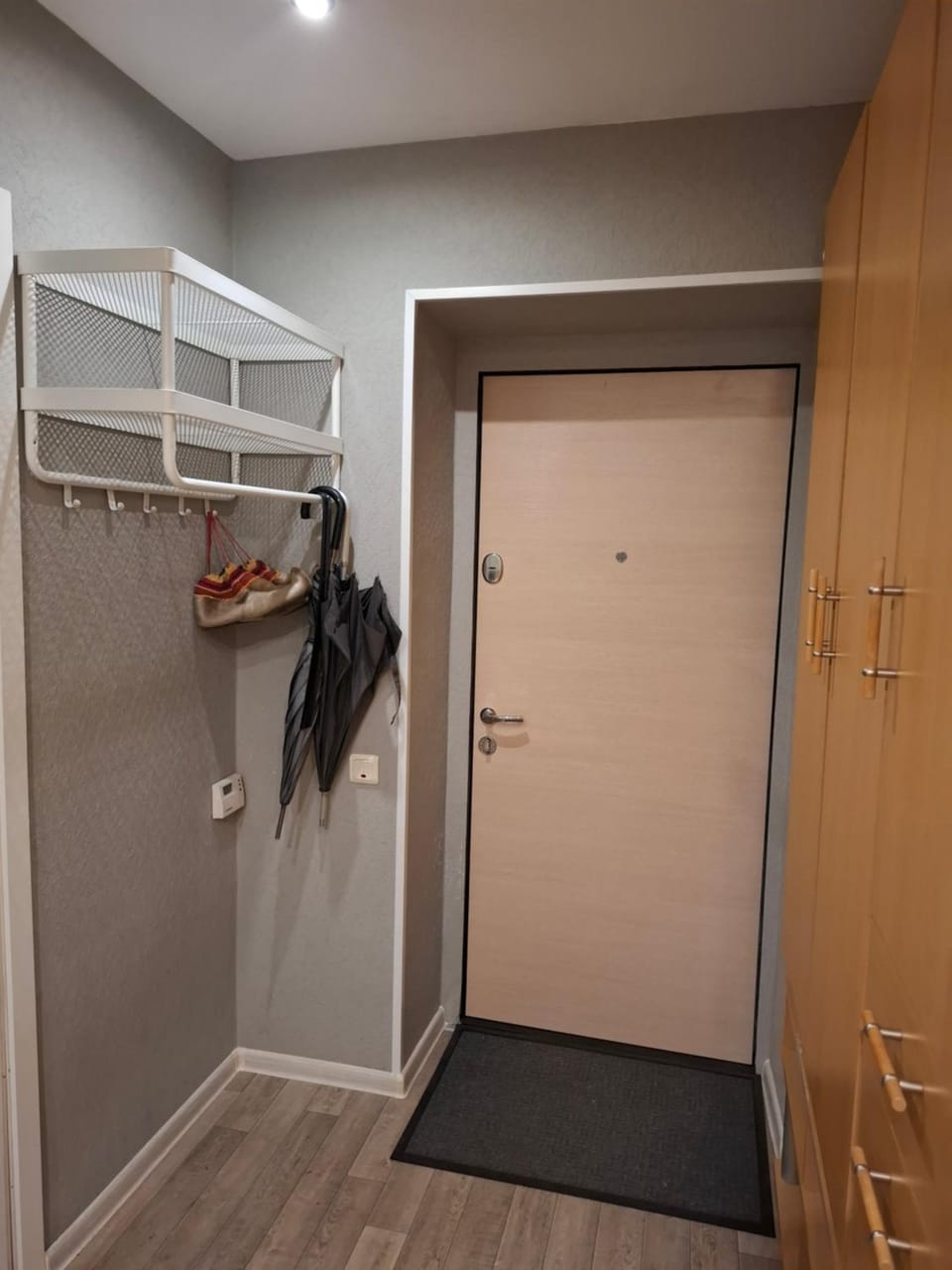 Depkina muižas parka māja Apartment in Riga