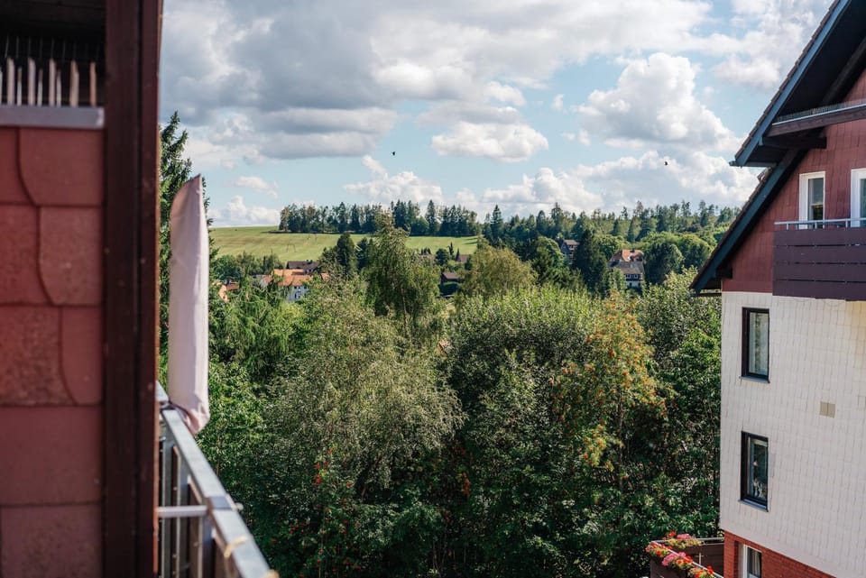 Ferienwohnung Bergruh Apartment in Braunlage