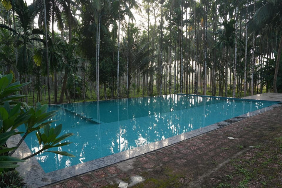 Garden, Swimming pool
