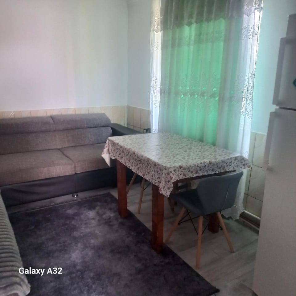 Sonia Apartment in Romania