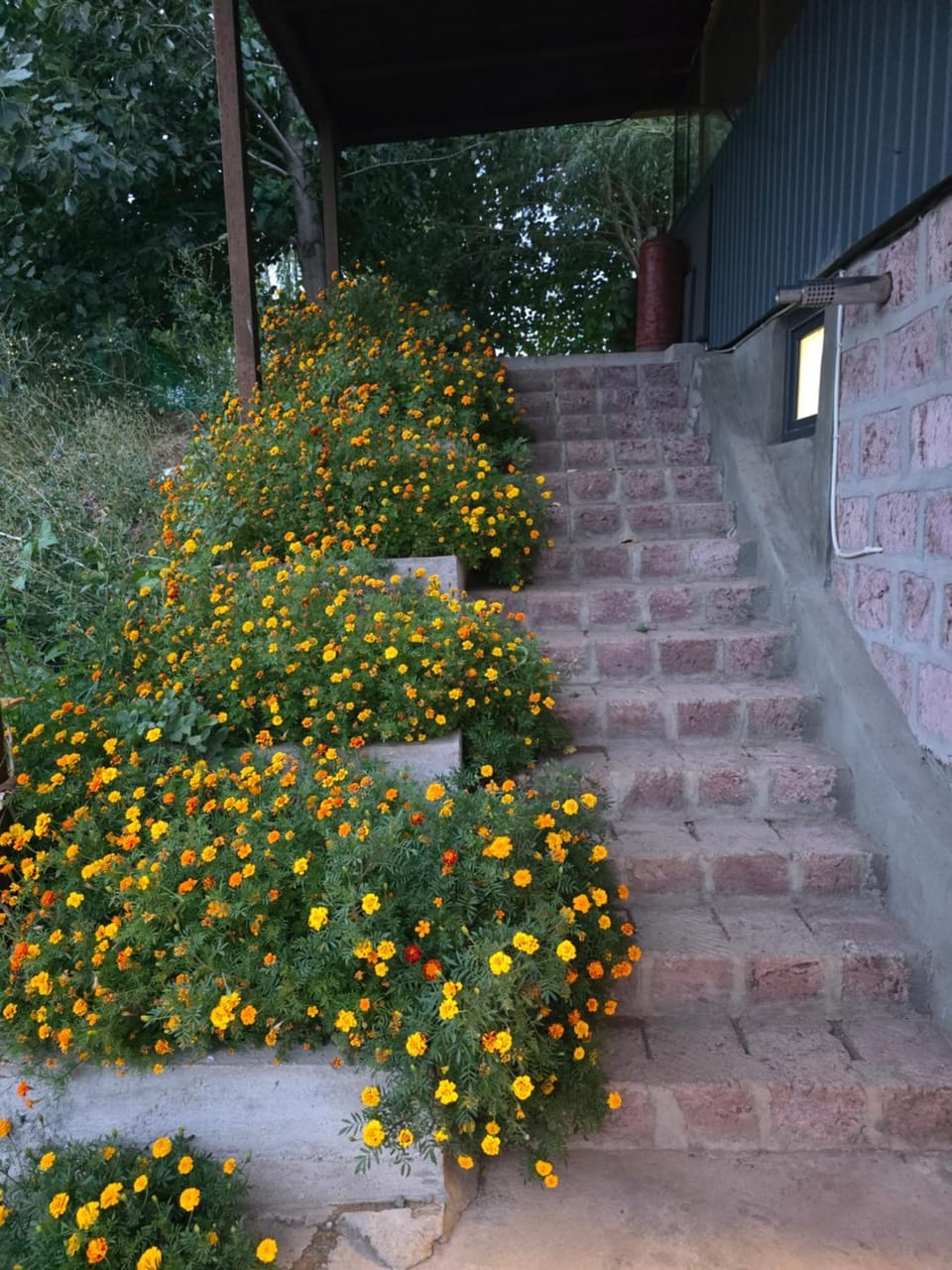 Ajdahak Apartment in Armenia