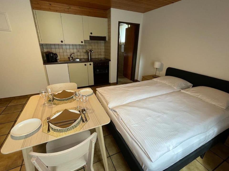 Cozy Studio Apartment in Interlaken