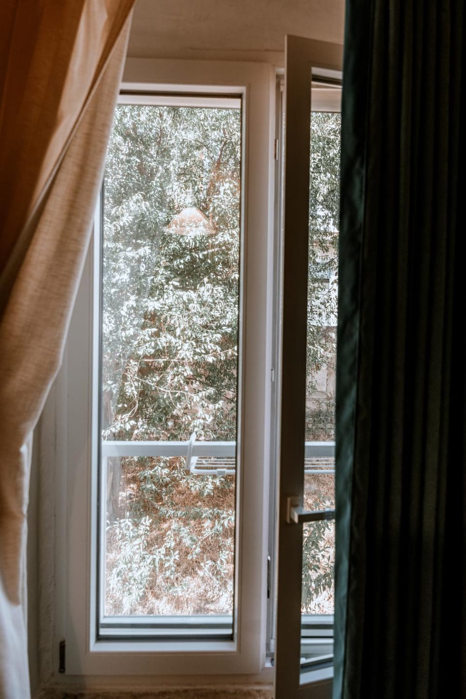 Garden view