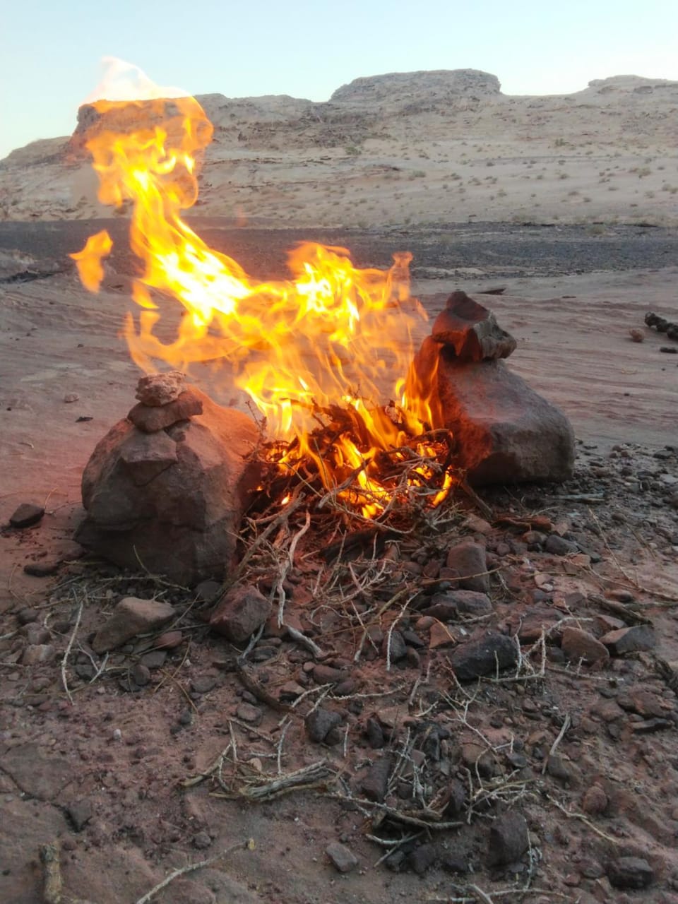 وردة الصحراء Luxury tent in Africa