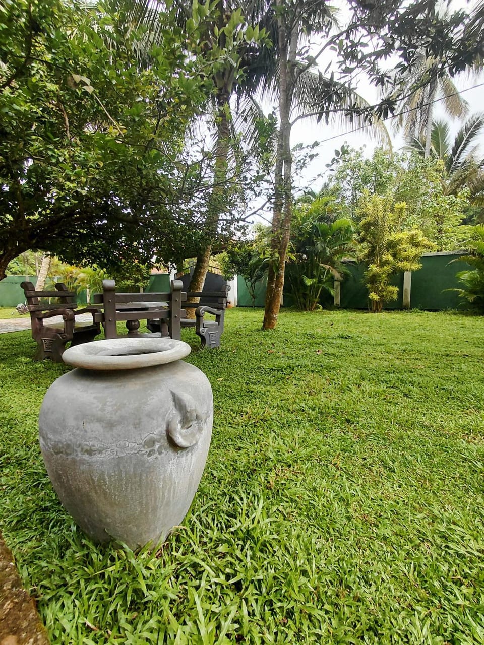 Natural landscape, Garden, Garden view