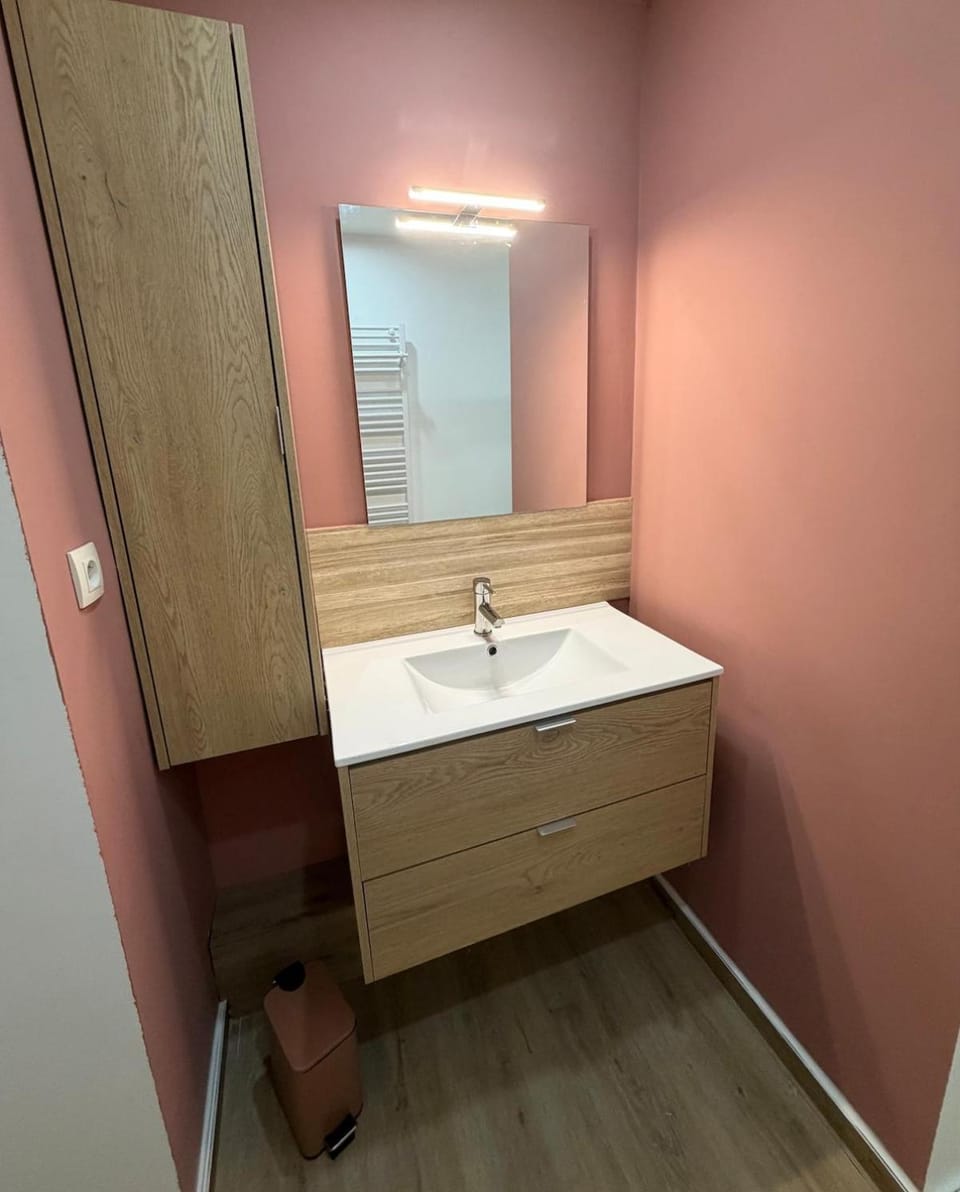 Appartement spacieux, centre-ville Apartment in Auvergne-Rhône-Alpes