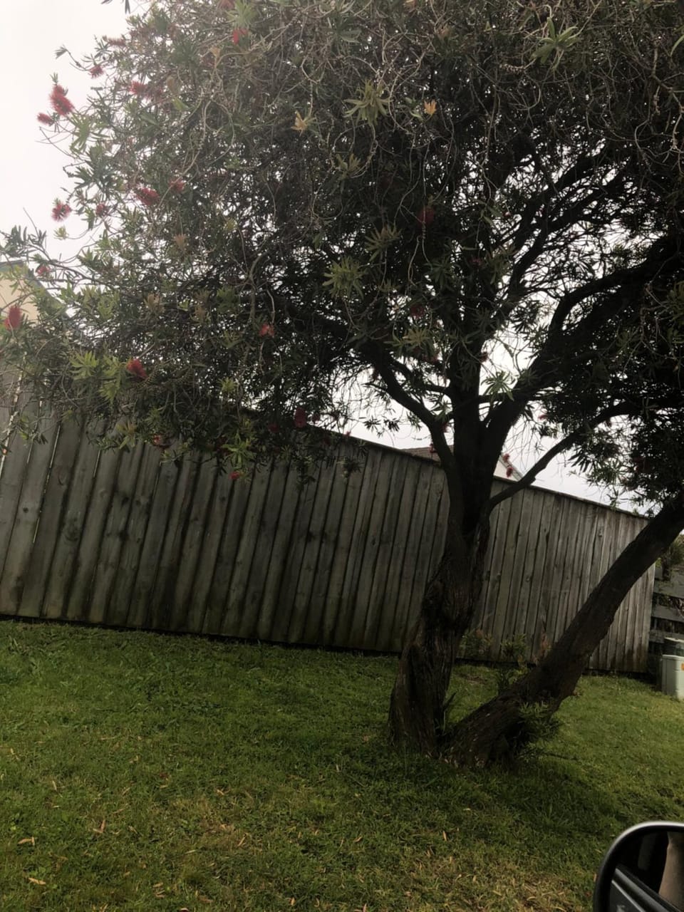 Dickson road gilla House in Bay Of Plenty