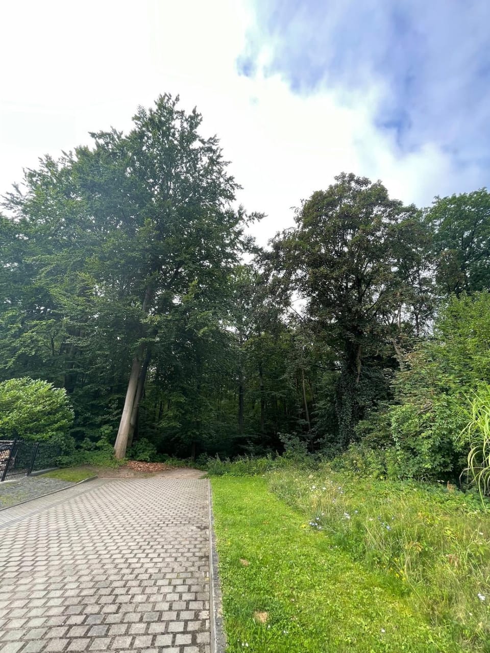 Natural landscape, View (from property/room)
