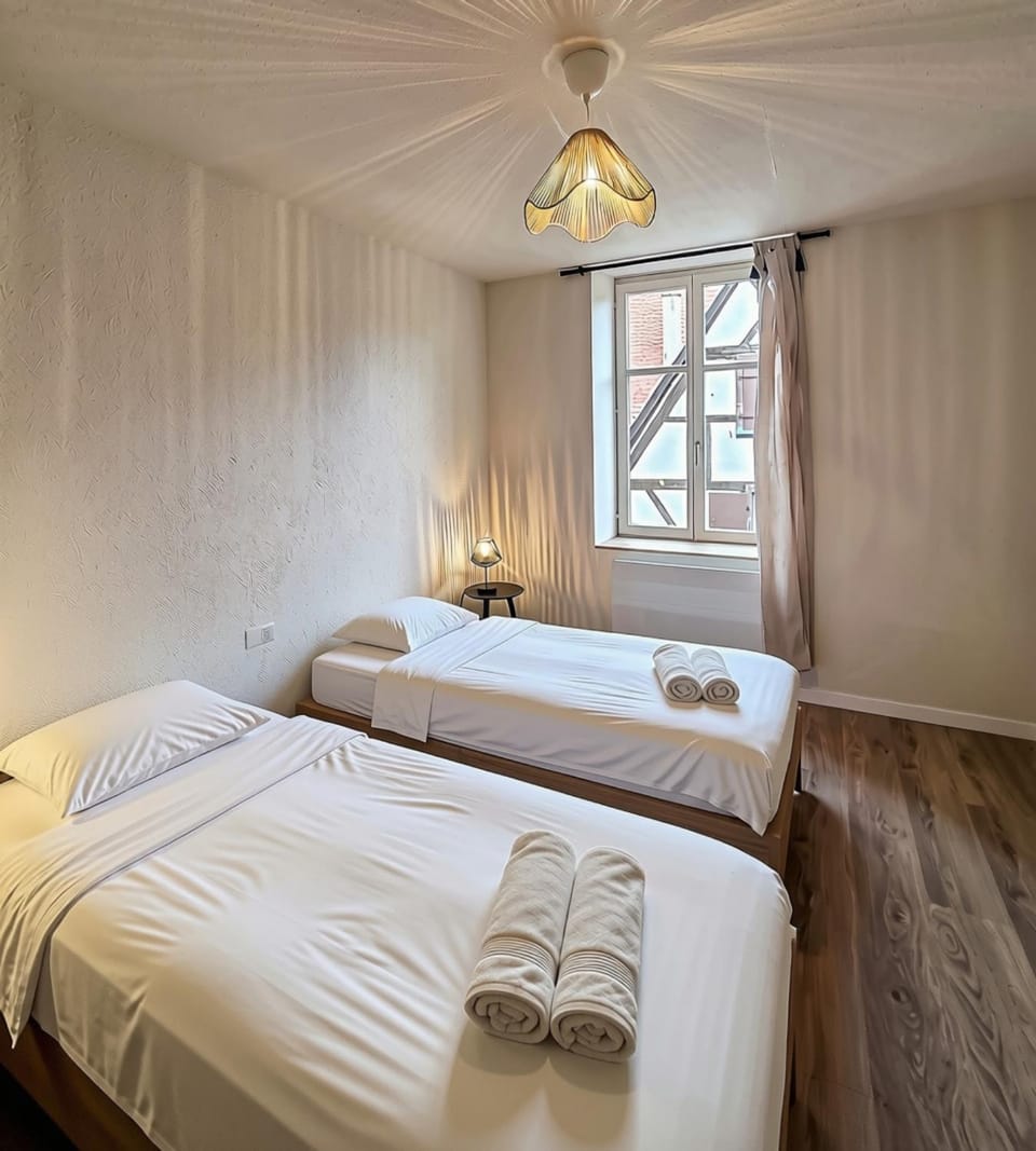Sélestat - T3 au cœur de l'Alsace Apartment in Sélestat