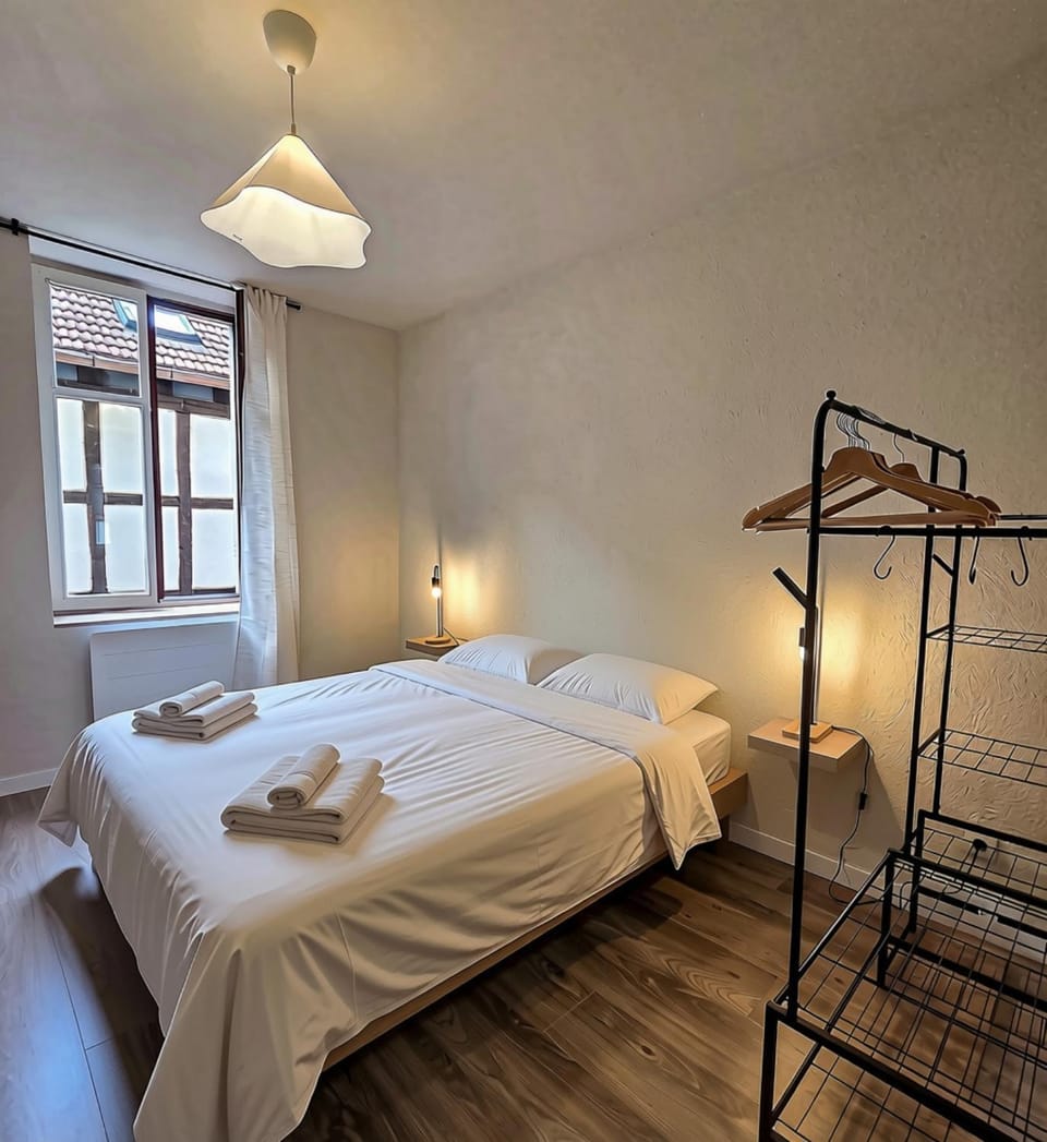 Sélestat - T3 au cœur de l'Alsace Apartment in Sélestat