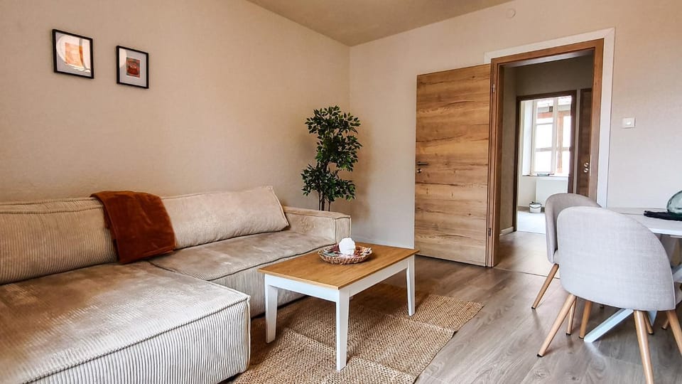 Sélestat - T3 au cœur de l'Alsace Apartment in Sélestat
