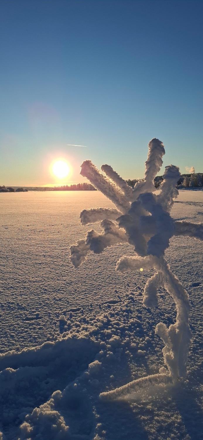 Evas guesthouse Tornevalley House in Norrbotten County, Sweden