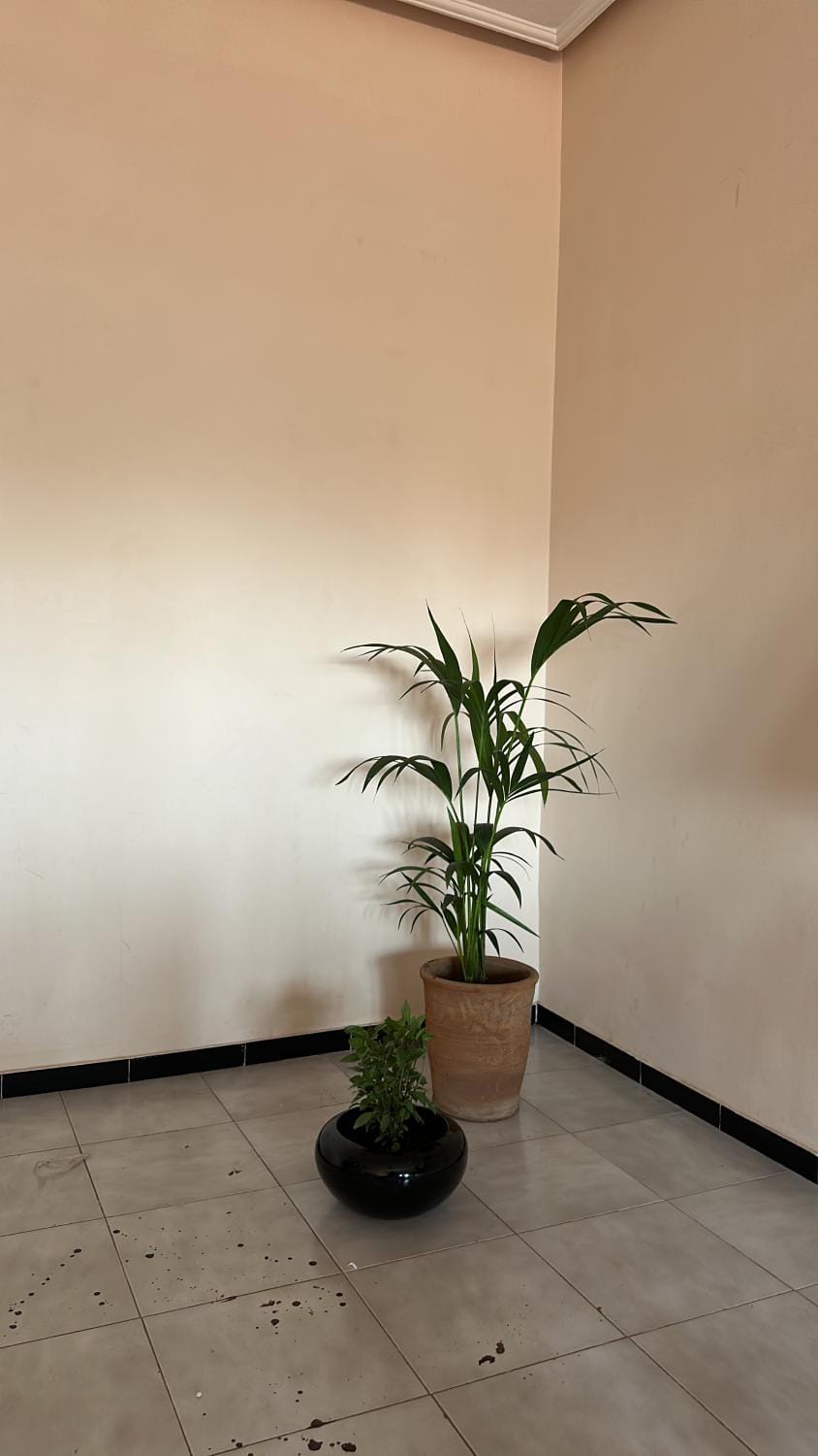 Kueerland home Vacation rental in Marrakesh