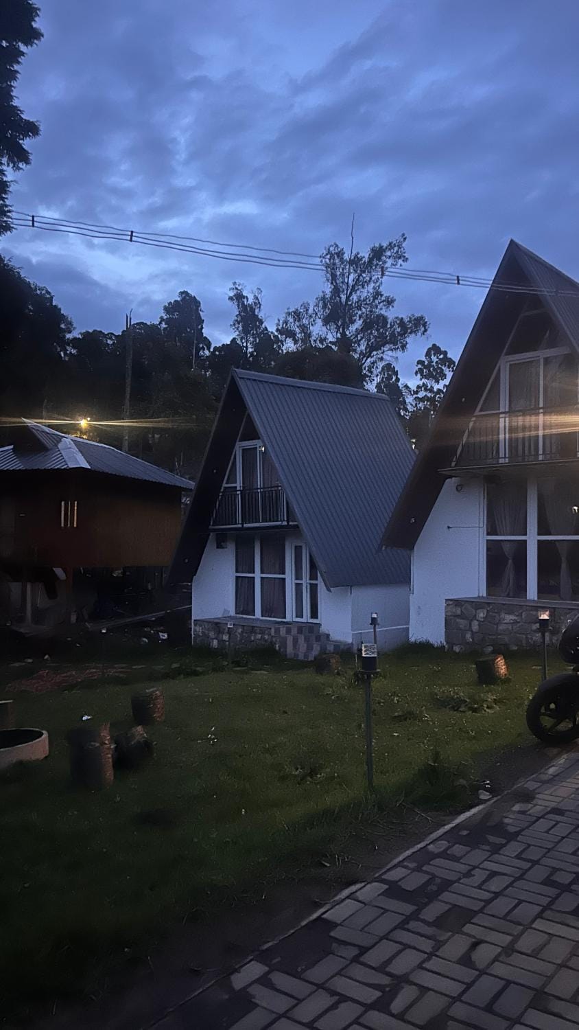 Property building, Garden, Garden view