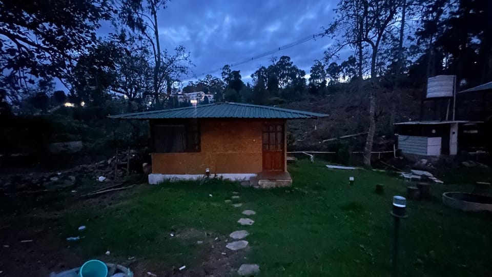 Night, Garden
