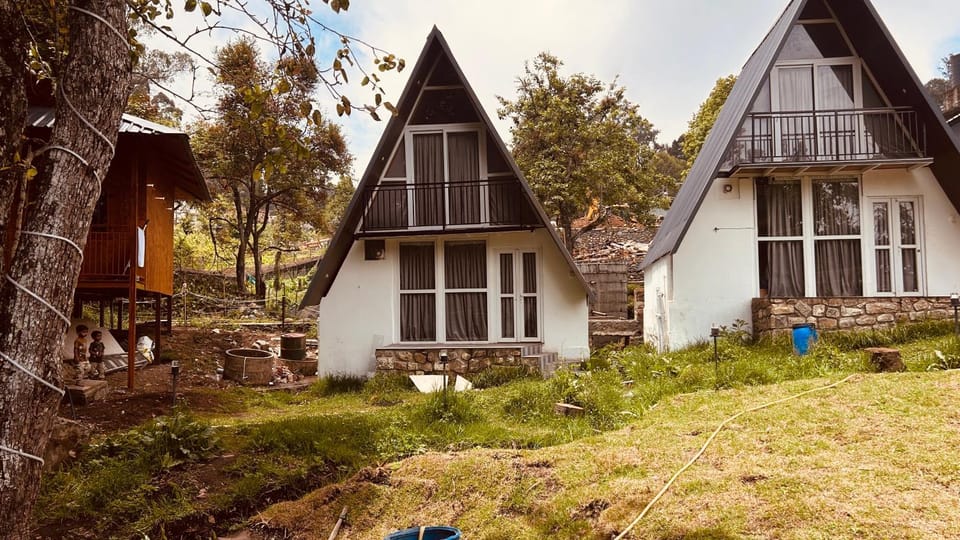 Property building, Spring, Garden, Garden view