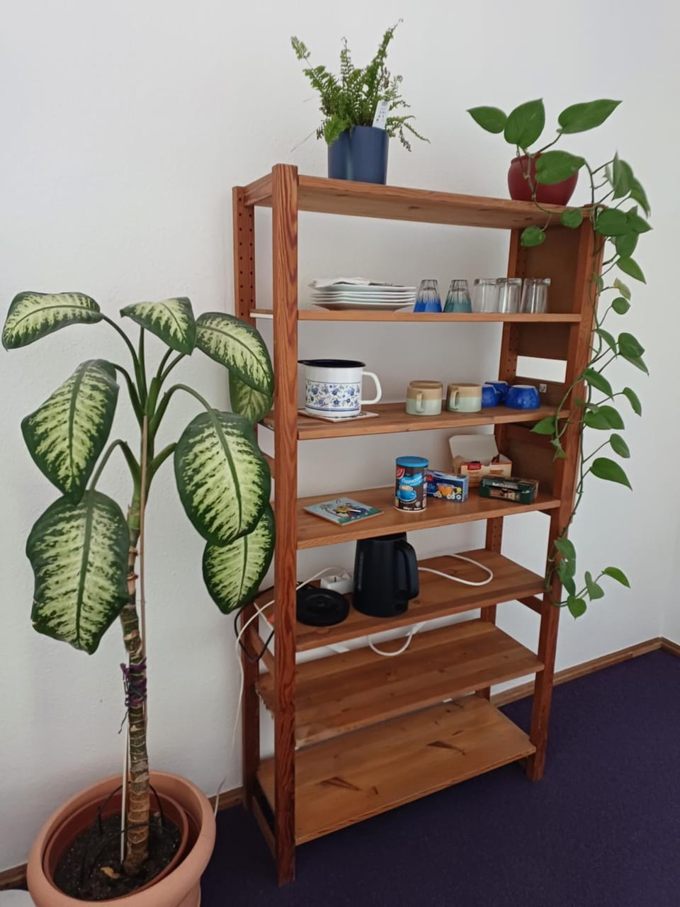 bunk bed