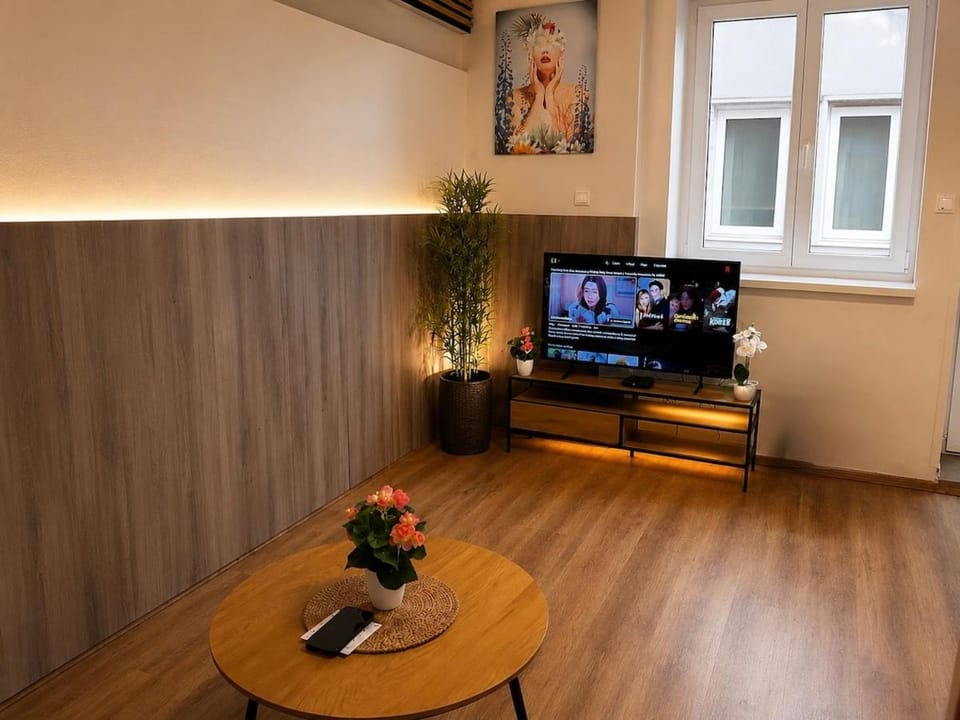 Apartment in the center of Žatec Apartment in Czechia