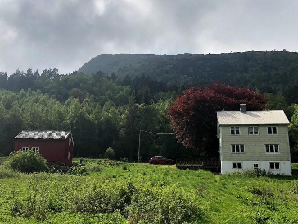Djupvika - Tustna House in Trondelag
