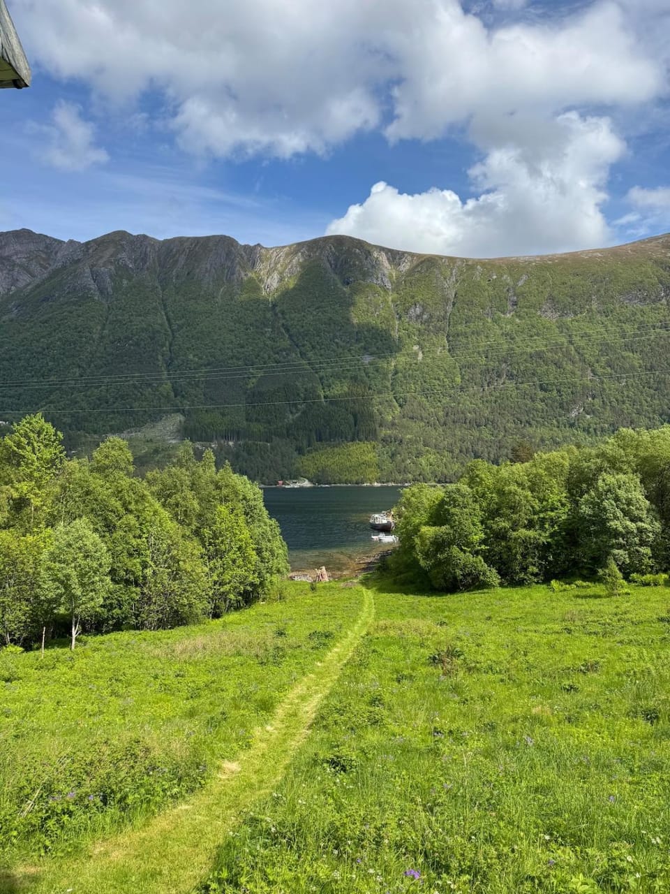 Mountain view