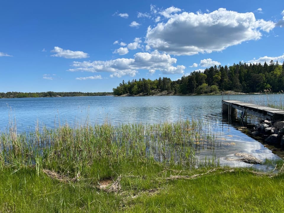 Spring, Natural landscape, Lake view