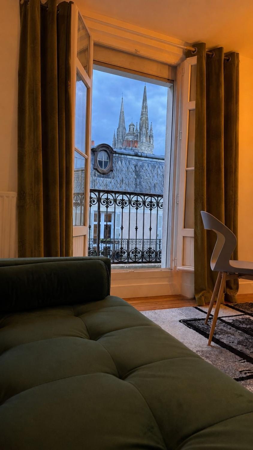 L'écrin Coeur D'Angers - Famille ou Groupe Apartment in Angers