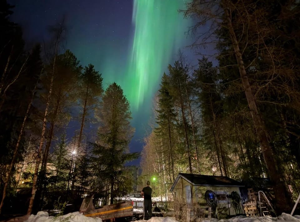 Night, Natural landscape, Winter, Garden