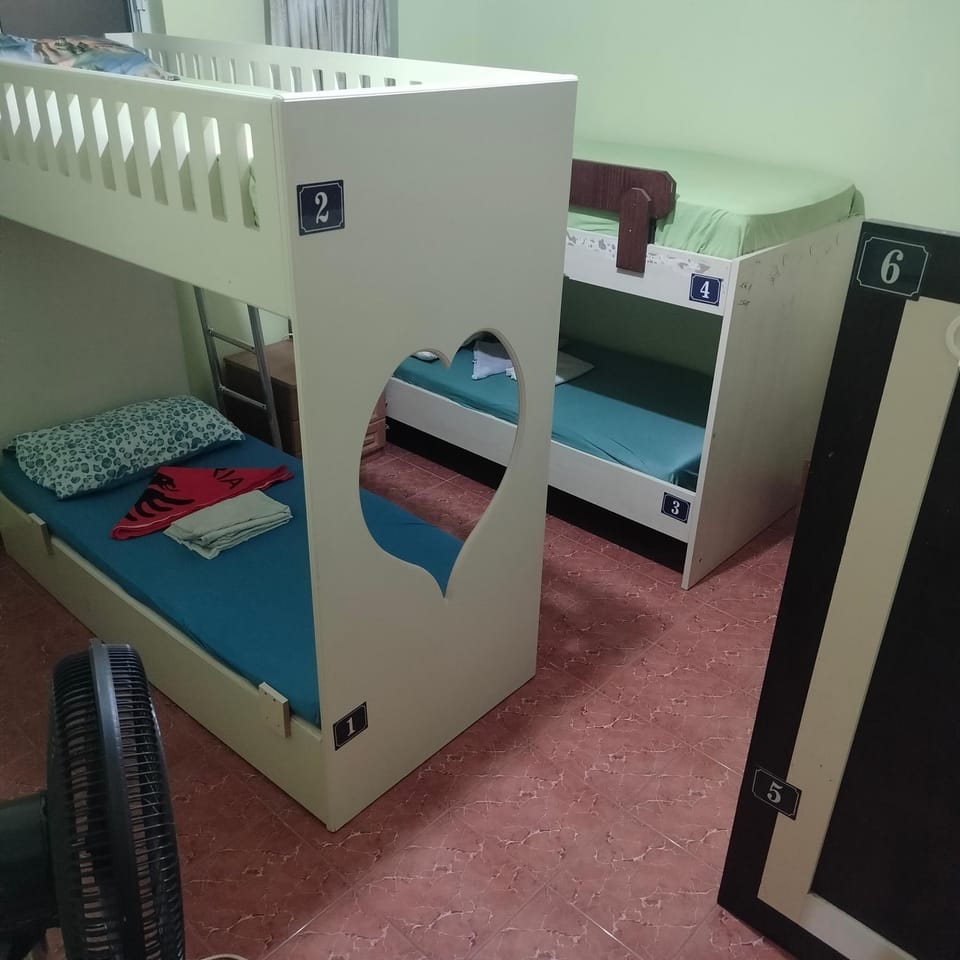 Beach Backpackers Hostel in Tirana County, Albania