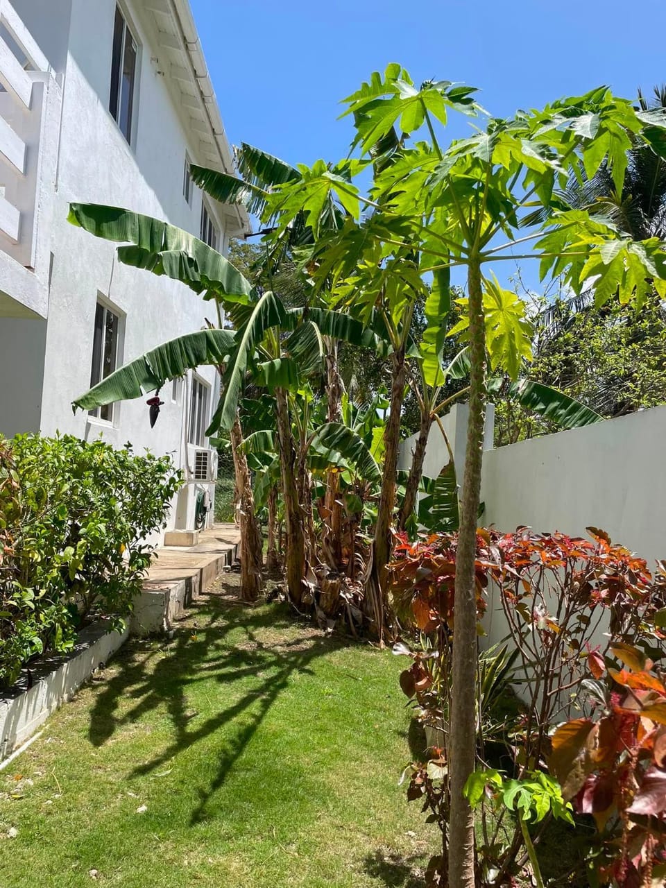 Glitter Bay Holiday Rentals Apartment in Holetown