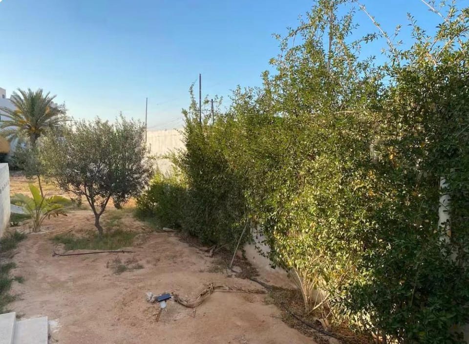 Maison Verte Villa in Tunisia