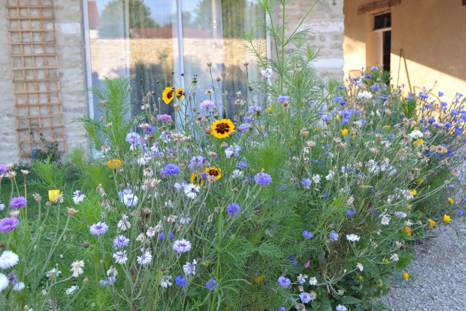 La Ferme Pateli Bed and Breakfast in Grand Est