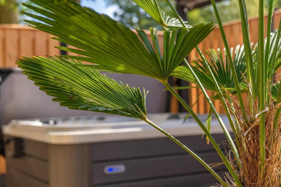 Hot Tub, Spa and wellness centre/facilities