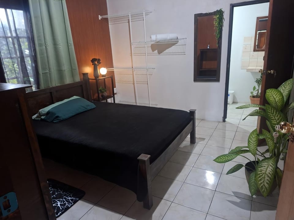 Pura vida Apartment in La Fortuna