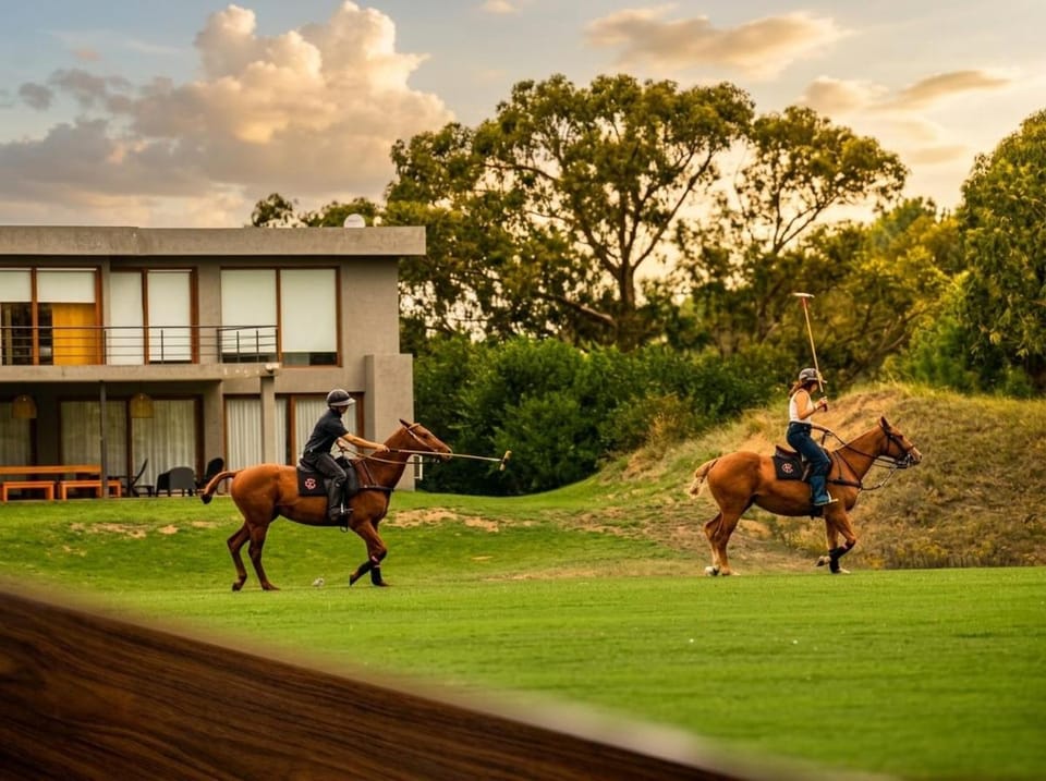 Day, People, Natural landscape, Horse-riding, Animals, group of guests