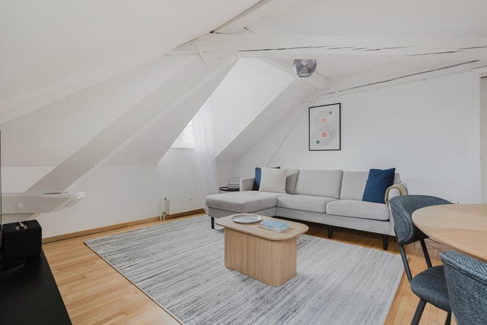 Anemone Suite - Bright 4,5-Room Apartment Apartment in Zurich City