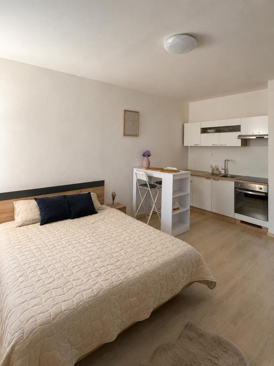 Kitchen or kitchenette, Photo of the whole room, oven, stove